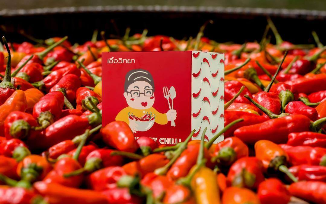 กล่องอาหาร(package)PATUK HAPPY CHILLI